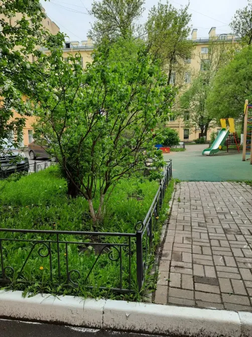 в Санкт-Петербурге Санкт-Петербург - изображение 16