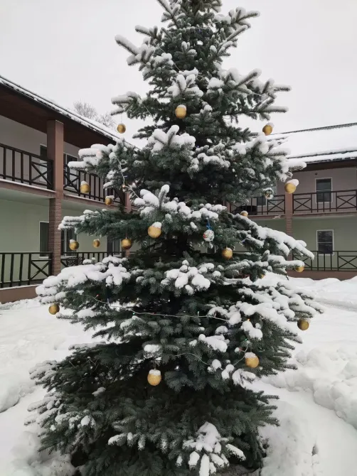 в Левашово Левашово - изображение 12