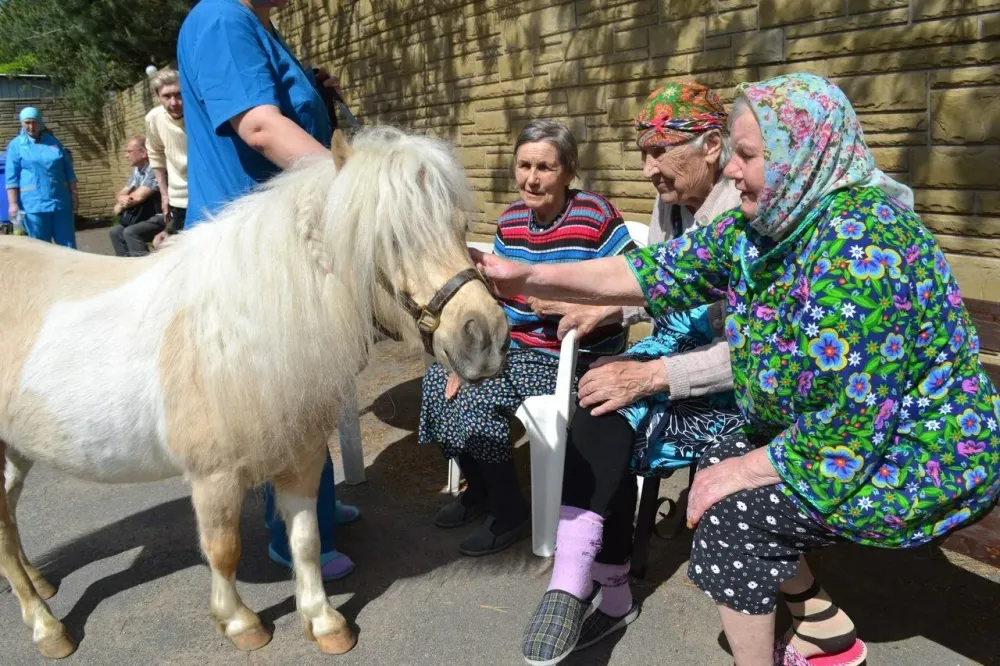 в Стрельне Стрельна - изображение 4