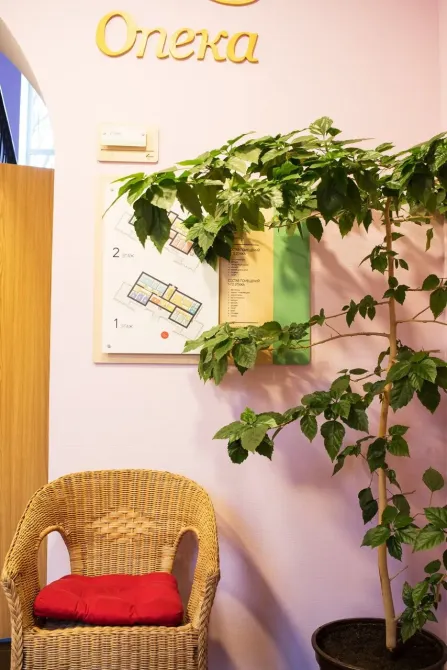 в Санкт-Петербурге Санкт-Петербург - изображение 12