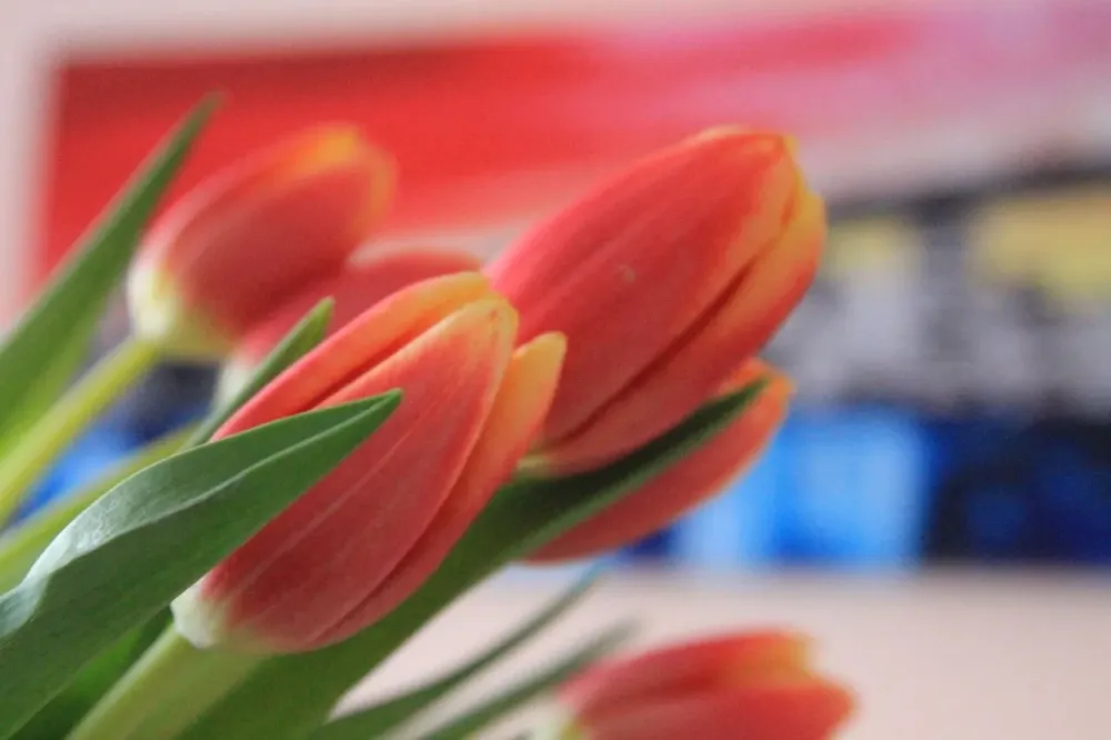 в Буграх Бугры - изображение 14