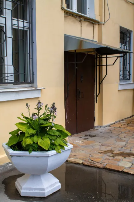 в Санкт-Петербурге Санкт-Петербург - изображение 18