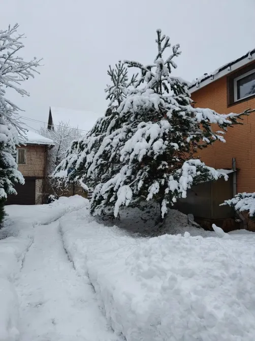 в Буграх Бугры - изображение 16