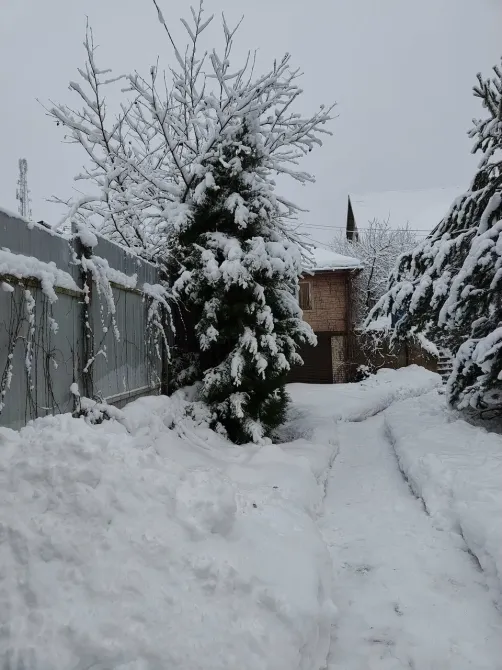 в Буграх Бугры - изображение 17