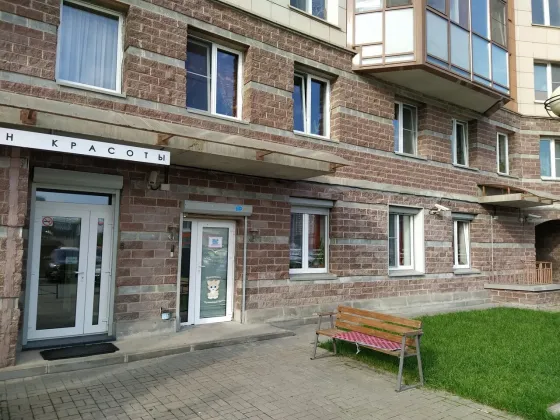 в Санкт-Петербурге Санкт-Петербург