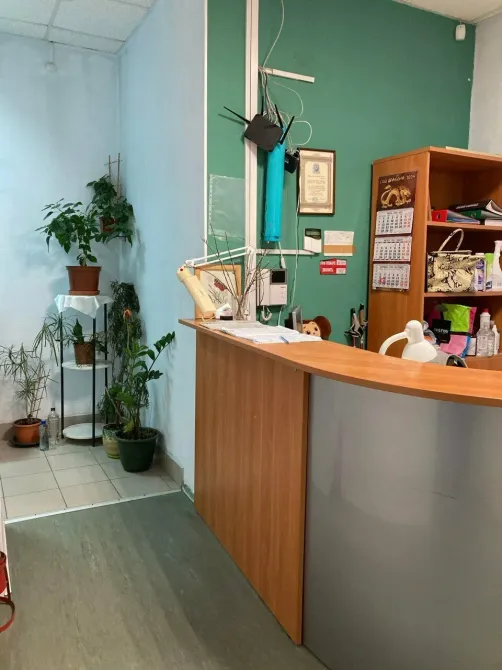 в Санкт-Петербурге Санкт-Петербург - изображение 13