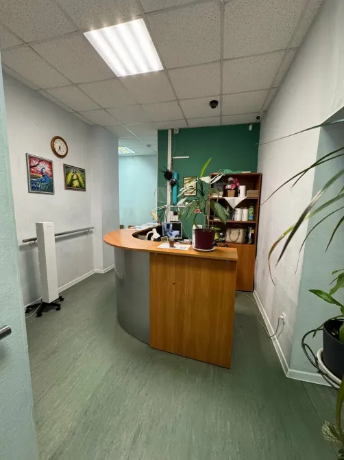 в Санкт-Петербурге Санкт-Петербург - изображение 19