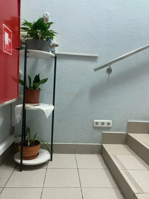 в Санкт-Петербурге Санкт-Петербург - изображение 16