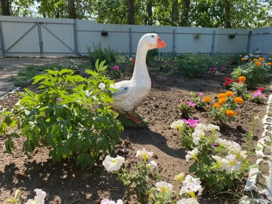 в Казани Казань