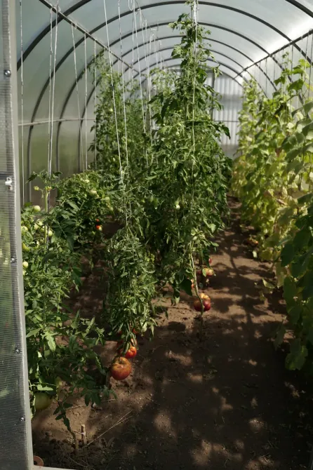 в Казани Казань - изображение 20