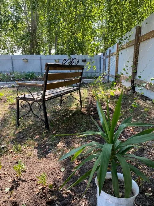 в Казани Казань - изображение 5