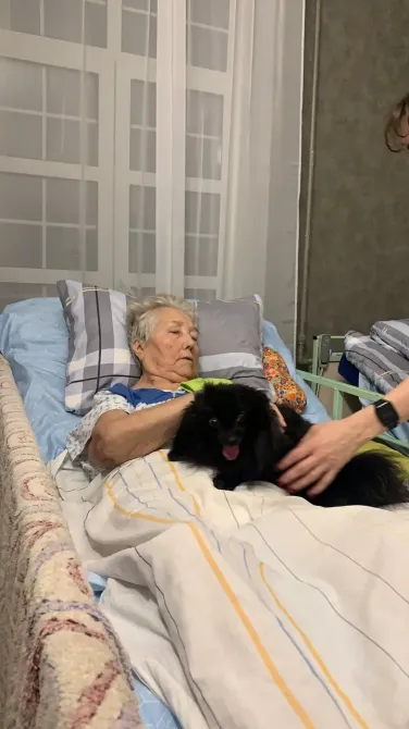 в Подстепках Подстепки - изображение 17