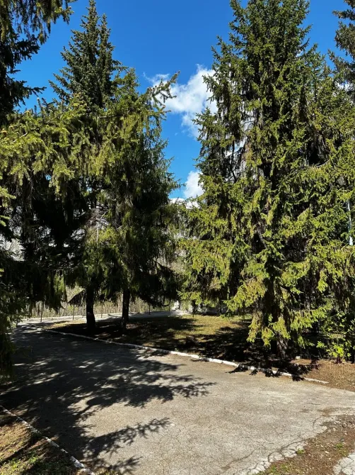 в Самаре Самара - изображение 1