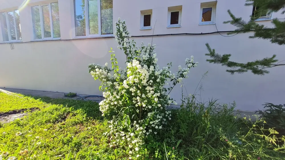 в Самаре Самара - изображение 15