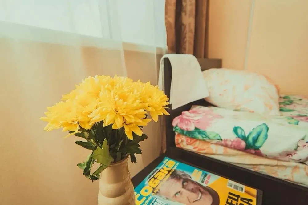 в Самаре Самара - изображение 12