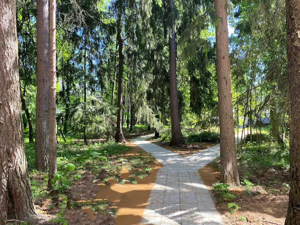 в Соколово Соколово - изображение 2