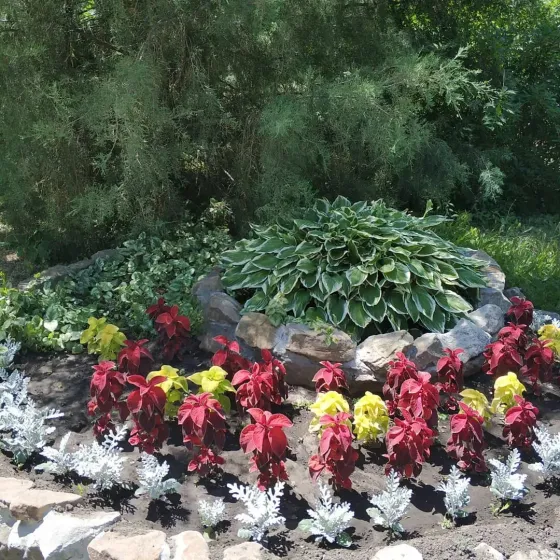 в Волгограде Волгоград