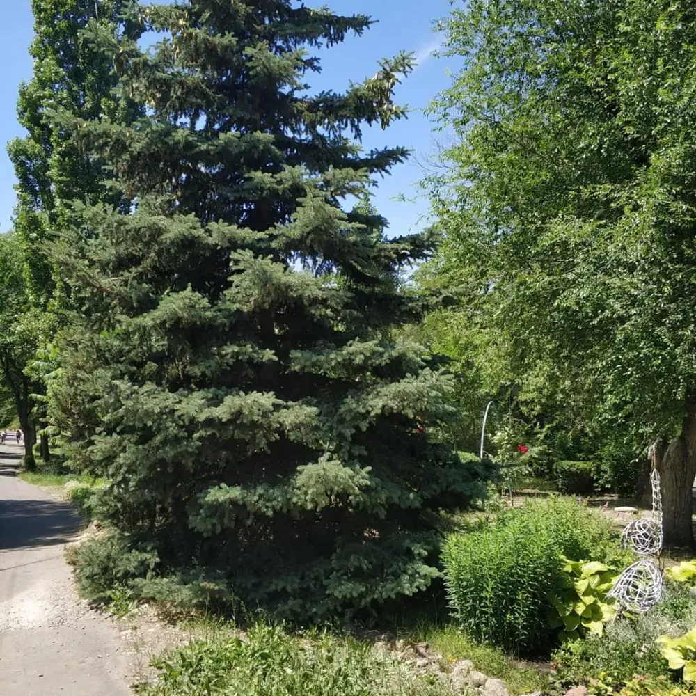 в Волгограде Волгоград - изображение 5