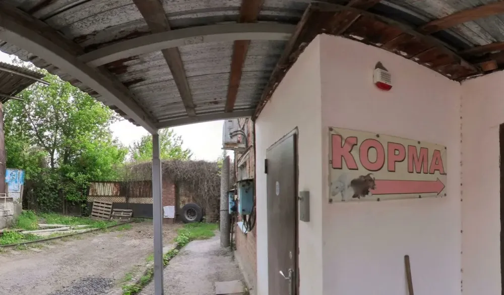 в Ростове-на-Дону Ростов-на-Дону - изображение 2