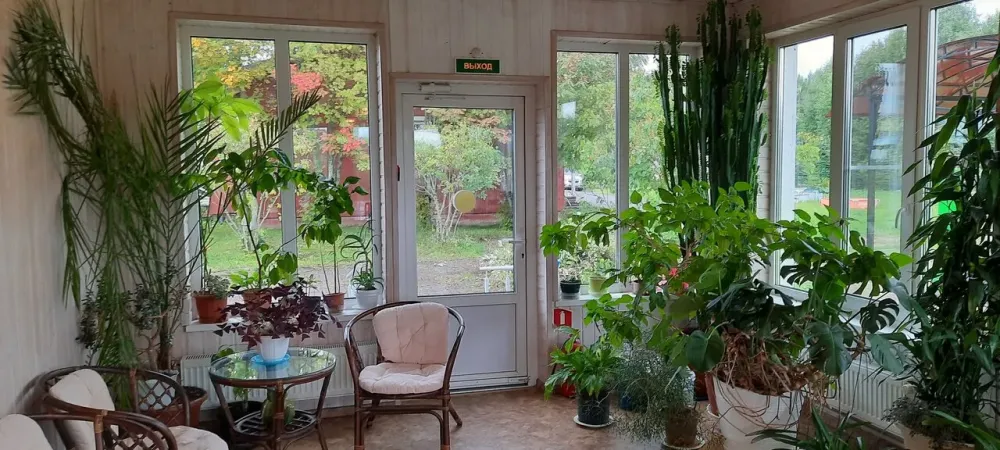 в Санкт-Петербурге Санкт-Петербург - изображение 15