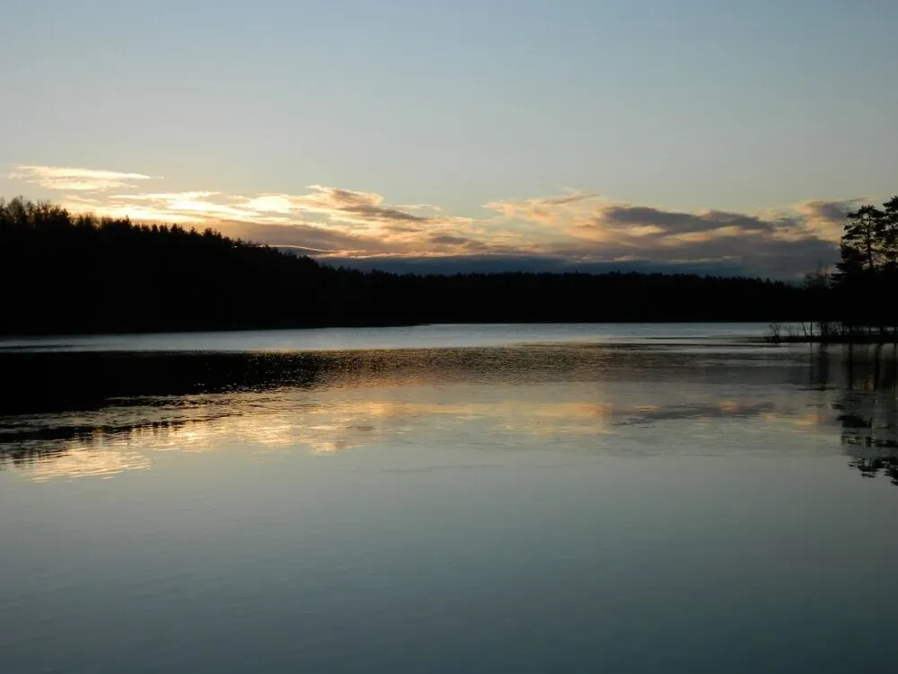 в Буграх Бугры - изображение 11