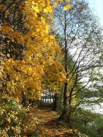 в Буграх Бугры - изображение 13