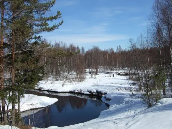 в Буграх Бугры - изображение 14