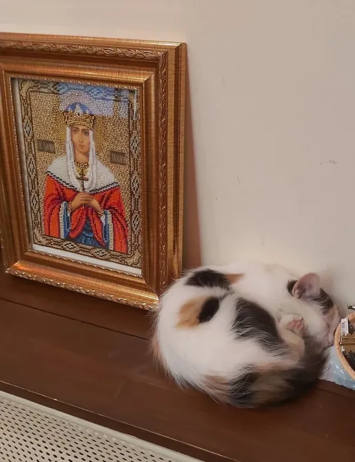 в Санкт-Петербурге Санкт-Петербург - изображение 13