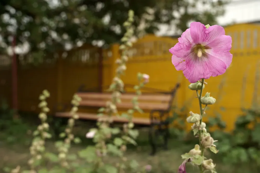 в Набережных Челнах Набережные Челны - изображение 3