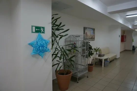 в Петрозаводске Петрозаводск