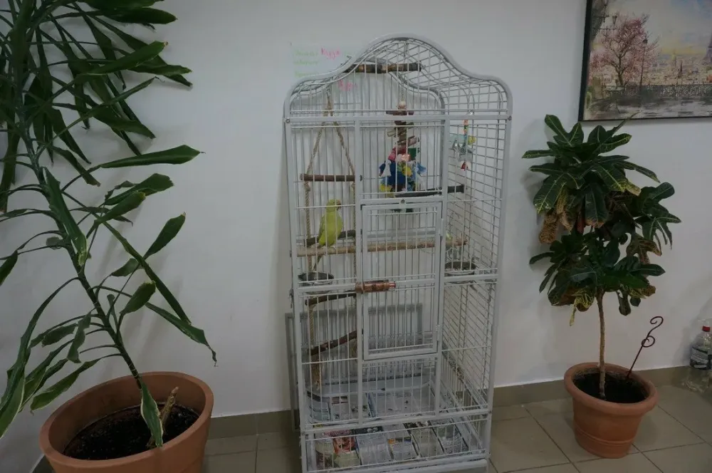 в Петрозаводске Петрозаводск - изображение 4