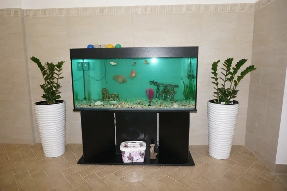 в Петрозаводске Петрозаводск - изображение 8