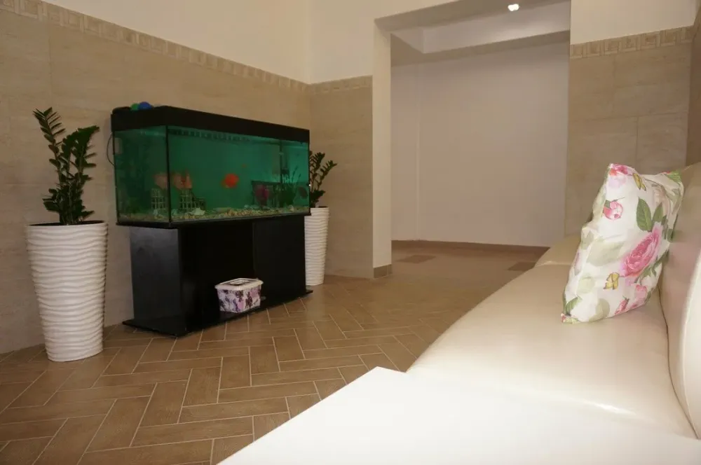 в Петрозаводске Петрозаводск - изображение 3