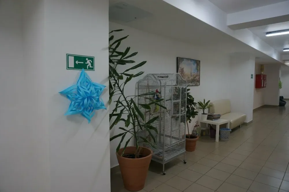 в Петрозаводске Петрозаводск - изображение 5