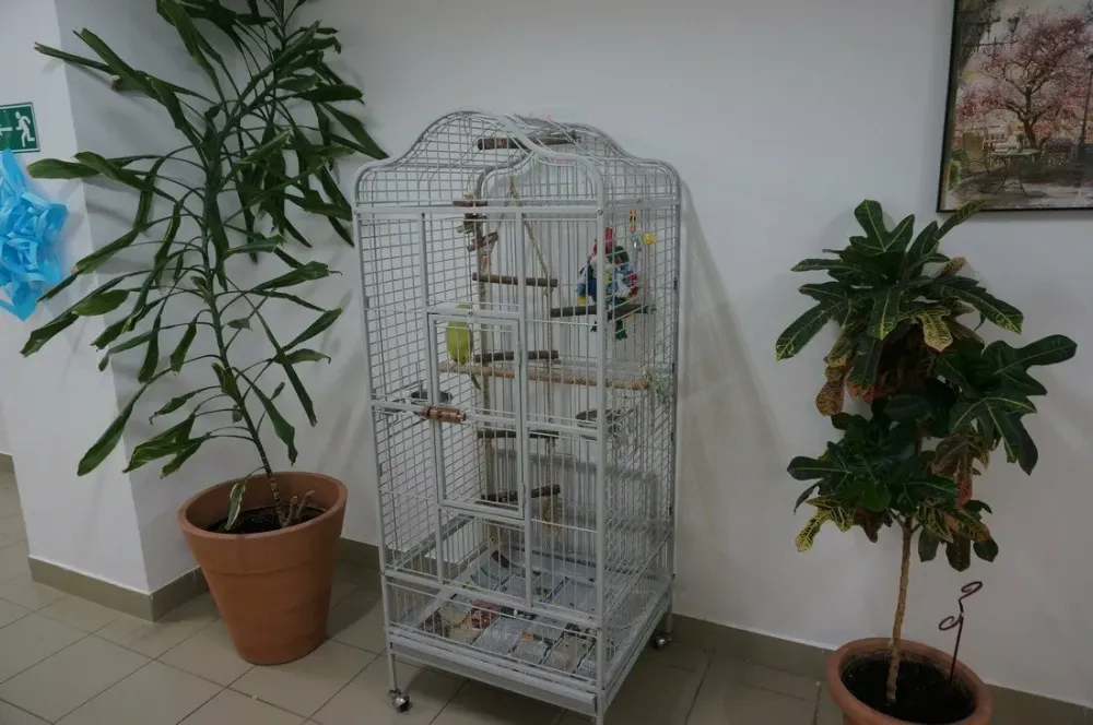 в Петрозаводске Петрозаводск - изображение 16