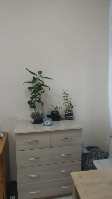 в Ижевске Ижевск - изображение 10