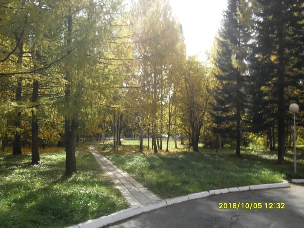 в Ижевске Ижевск - изображение 14