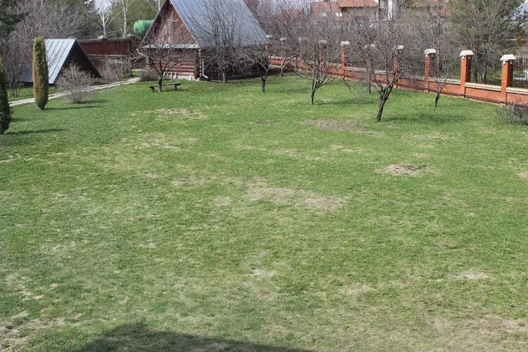 в Ижевске Ижевск - изображение 6