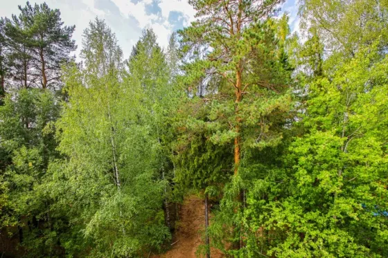 в Перми Пермь