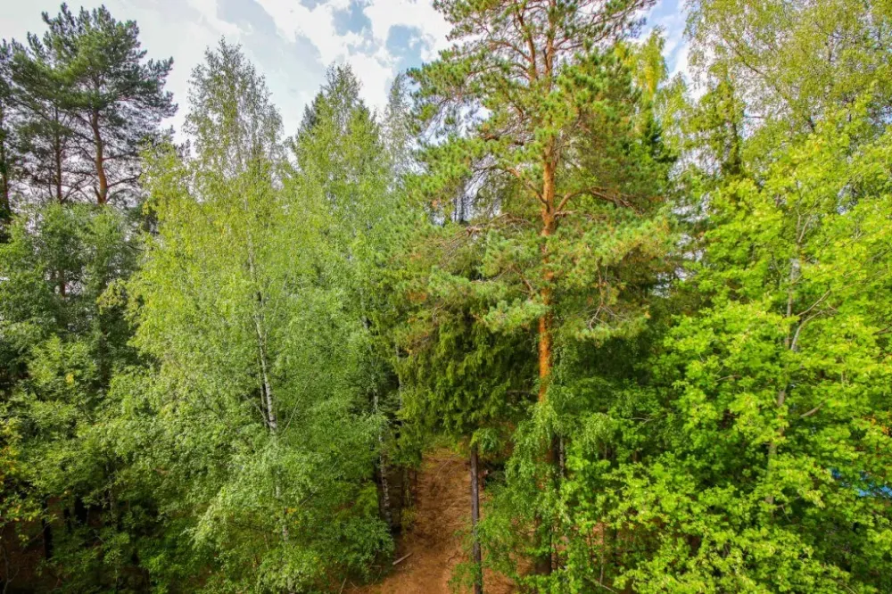 в Перми Пермь - изображение 4