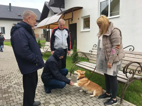 в Сертолово Сертолово