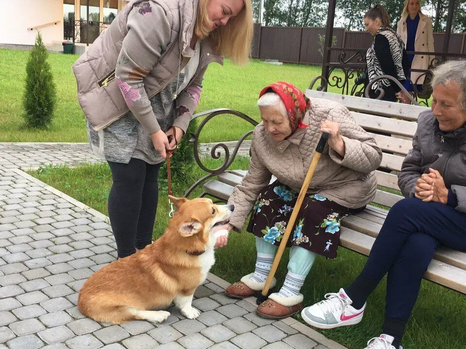 в Сертолово Сертолово - изображение 11