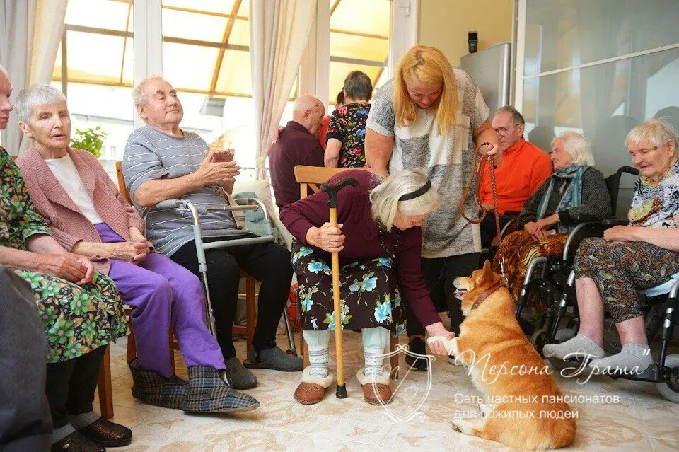 в Сертолово Сертолово - изображение 16