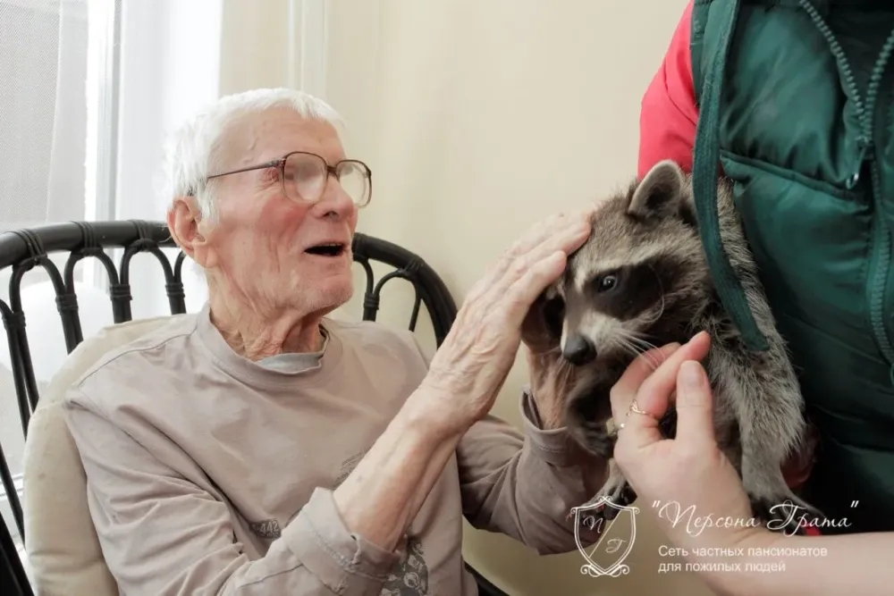 в Сертолово Сертолово - изображение 12