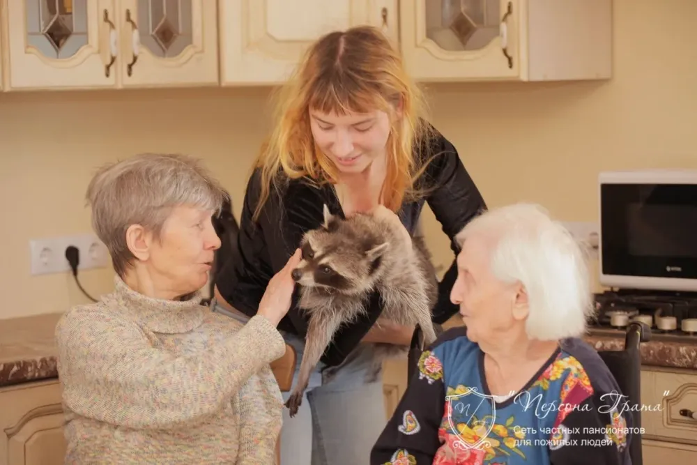 в Сертолово Сертолово - изображение 17