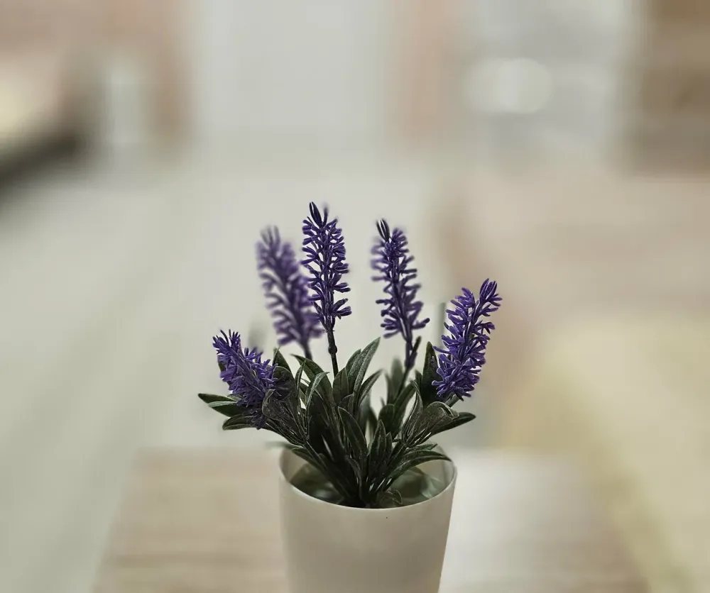 в Санкт-Петербурге Санкт-Петербург - изображение 17