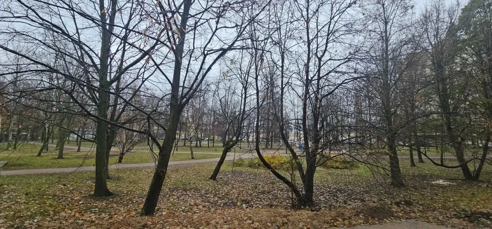 в Санкт-Петербурге Санкт-Петербург - изображение 7