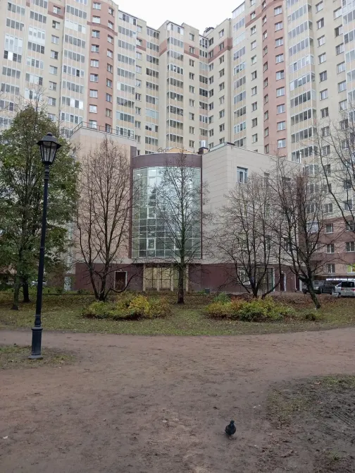 в Санкт-Петербурге Санкт-Петербург - изображение 16