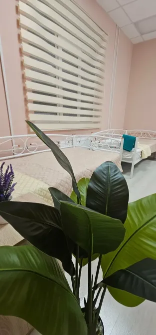 в Санкт-Петербурге Санкт-Петербург - изображение 19