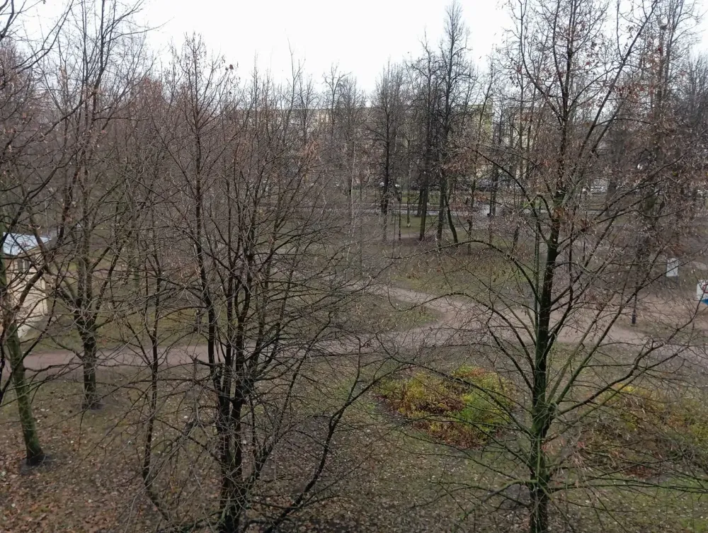 в Санкт-Петербурге Санкт-Петербург - изображение 15